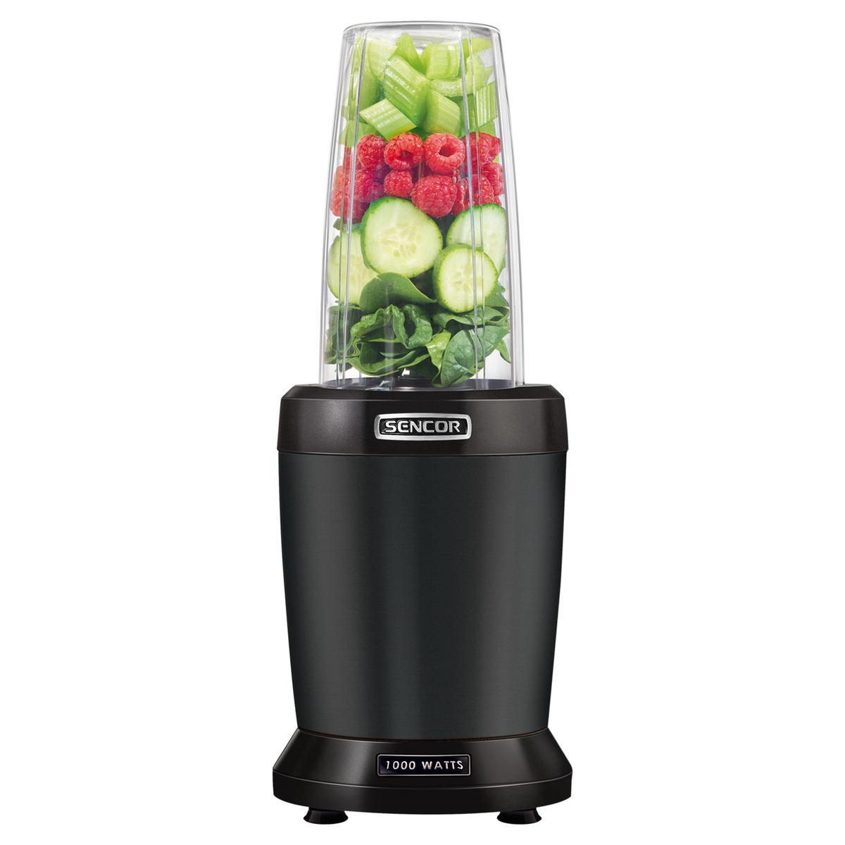 Sencor Nutri blender SNB 4303BK