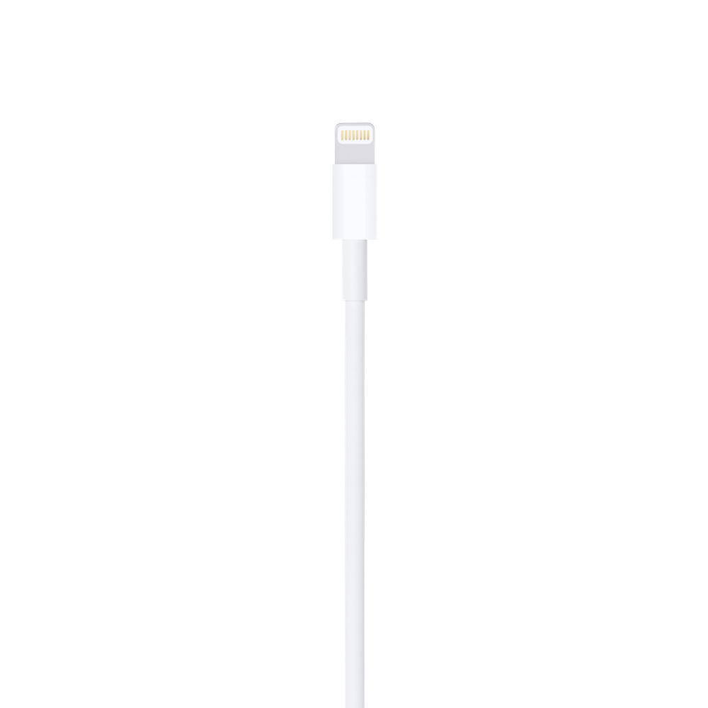 Apple Lightning to USB Kabal (1 m)