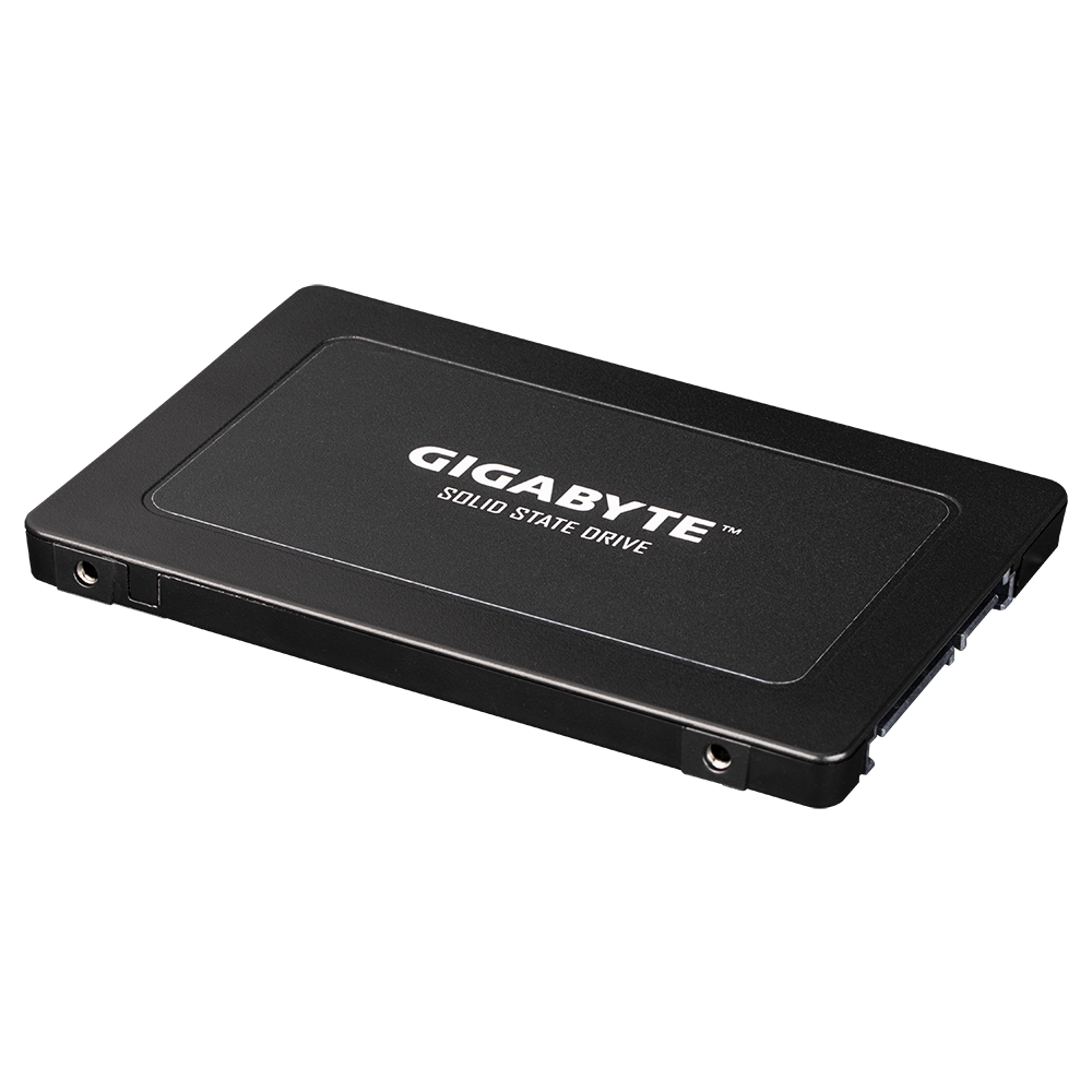 Gigabyte SSD 256GB,2.5"; R/W : 520/500MB/s GP-GSTFS31256GTND G12