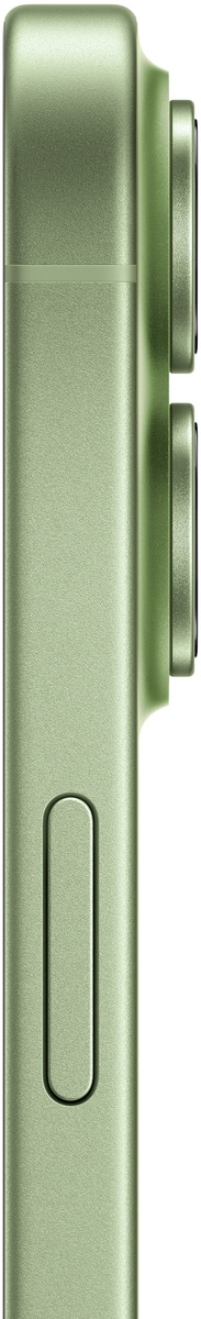 Apple iPhone 17 256GB Sage, mobitel