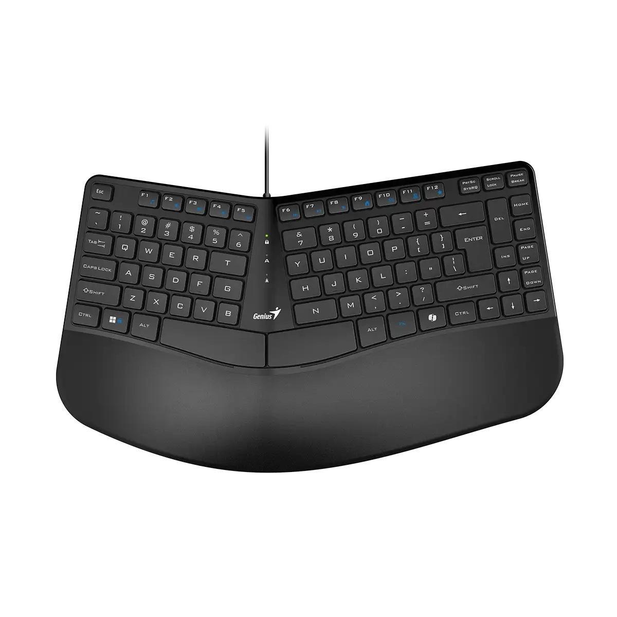 GENIUS tastatura Ergo KB-700 žična BH/HR/SRB layout