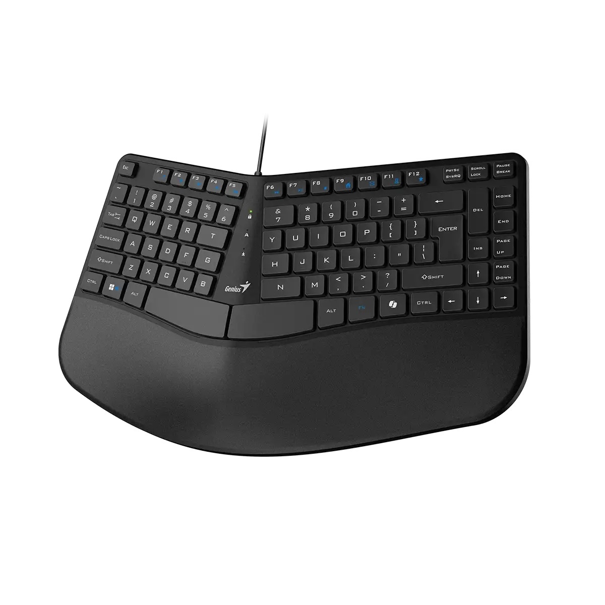 GENIUS tastatura Ergo KB-700 žična BH/HR/SRB layout