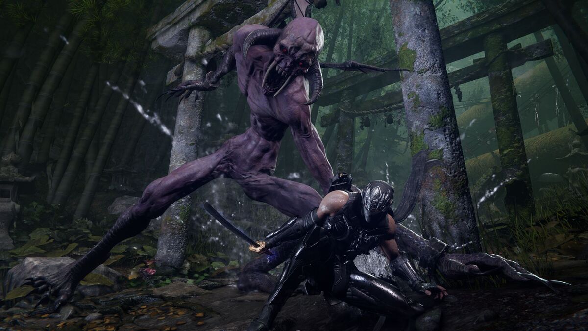 Ninja Gaiden 4 PS5