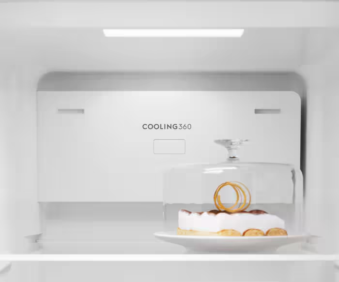 Electrolux frižider EAT6ME53K0
