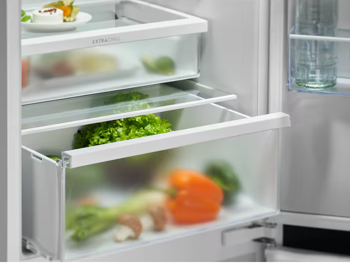 Electrolux frižider ENT6MD19S3