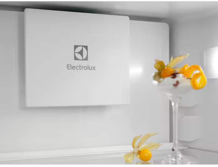 Electrolux frižider ENT6MD19S3