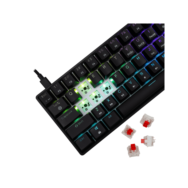 WHITE SHARK gaming tastatura GK-004111 SHINOBI-2 Crna - Mehanička/ US RED SWiTCH