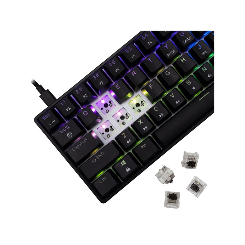 WHITE SHARK gaming tastatura GK-004131 SHINOBI-2 Crna - Mehanicka / US- BROWN SWiTCH