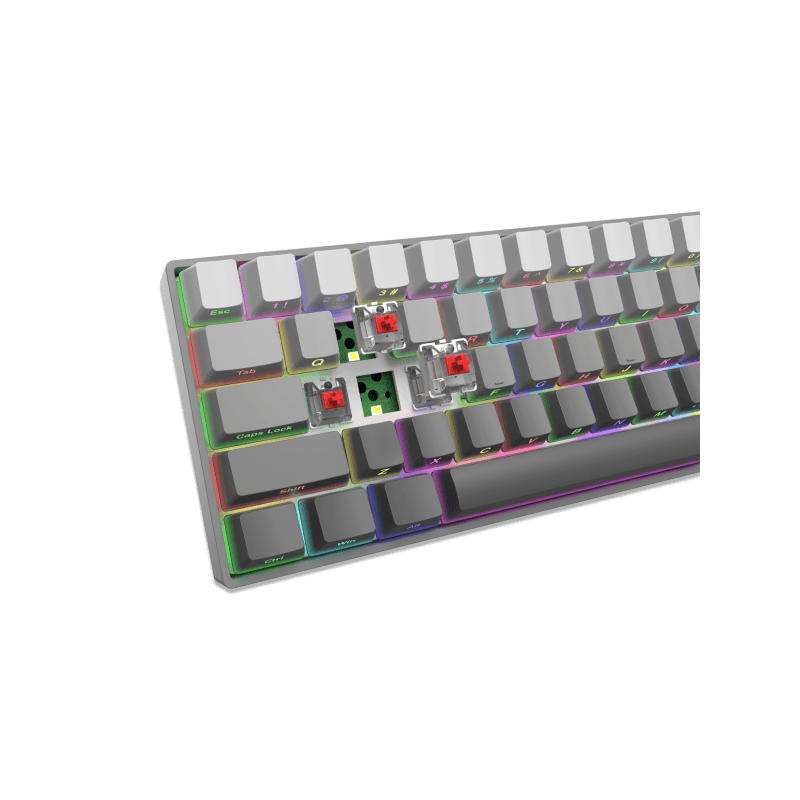 WHITE SHARK gaming tastatura GK-007711 NUNCHAKU Siva Gradient - Mehanička / US - RED SWiTCH