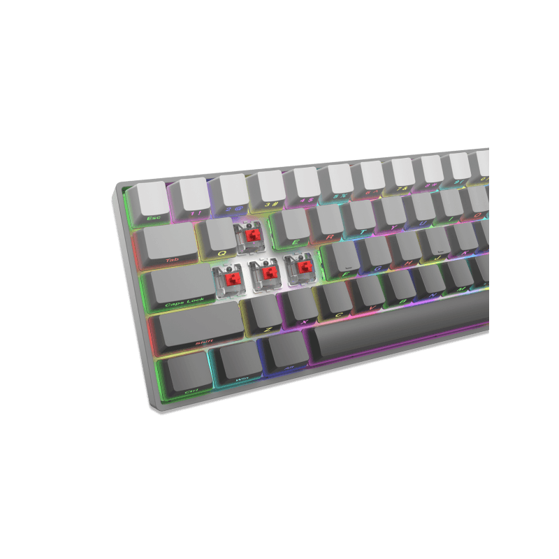 WHITE SHARK gaming tastatura GK-007711 NUNCHAKU Siva Gradient - Mehanička / US - RED SWiTCH