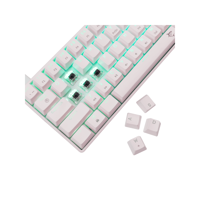 WHITE SHARK gaming tastatura GK-004231 SHINOBI-2 Bijela- Mehanicka/US - BROWN.SW