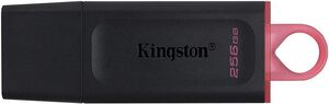 USB memorija Kingston 256GB DTX KIN