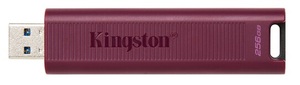 USB memorija Kingston 256GB DT Max Type-A KIN