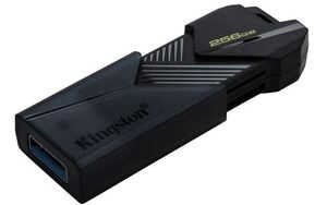 USB FD.256GB KINGSTON DTXON/256GB