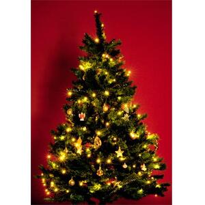 home Dekorativna LED rasvjeta - KI 200 LED/WW