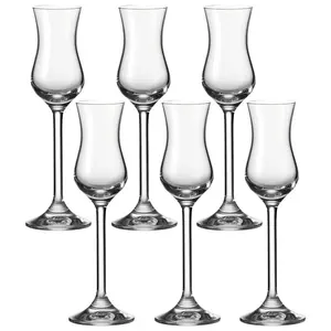 Leonardo set 6 čaša za grappa DAILY 100 ml