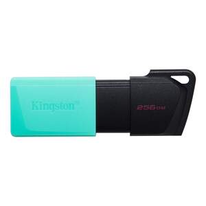 Kingston USB stick 256GB USB3.2 DataTraveler Exodia M