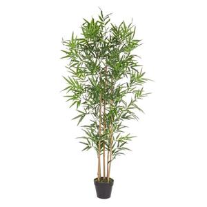 BIZZOTTO bambus 155cm u saksiji pvc