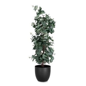 BIZZOTTO eukaliptus 90cm u saksiji pvc