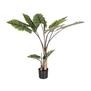 BIZZOTTO cvijeće difenbahija 134cm u saksiji 0172561