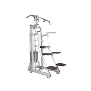 Assisted Chin Up/Dip