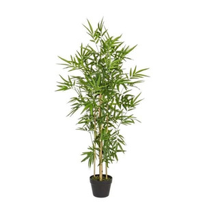 BIZZOTTO bambus 130cm lončanica