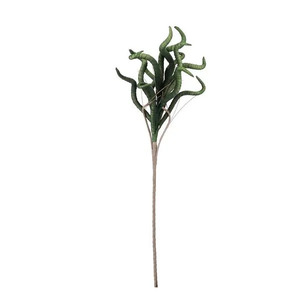 BIZZOTTO dekorativna grana LAURALIE 78cm zelena