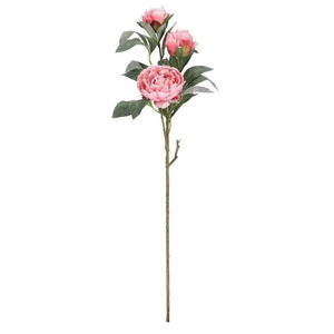 BIZZOTTO dekorativni cvijet peonija 90cm roza