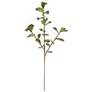 BIZZOTTO dekorativna grana WALLIS 115cm