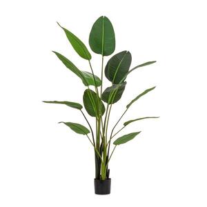 BIZZOTTO strelicija 185cm zelena