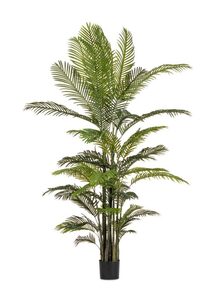 BIZZOTTO kenzia 210cm lončanica
