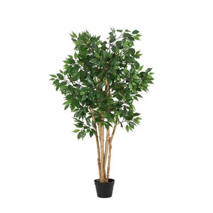 BIZZOTTO fikus 145cm lončanica