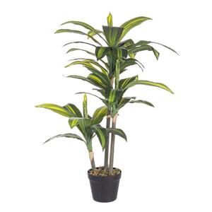 BIZZOTTO dračena 88cm zelena
