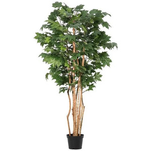BIZZOTTO kanadski javor 195cm pvc