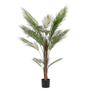 BIZZOTTO kenzia 180cm lončanica