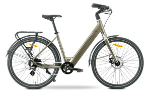 MS Energy električni bicikl Zorya Bronze