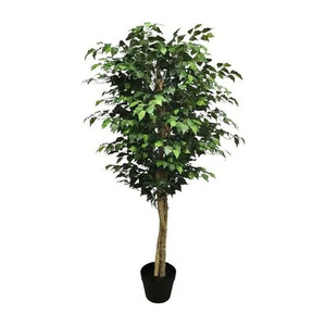 Fikus 180 cm zeleni PVC