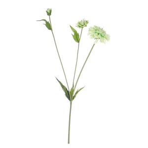 Bizzotto umjetna skabioza 51 cm, zelena