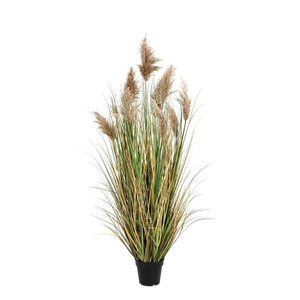Bizzotto umjetni pampas Gynerium 150 cm