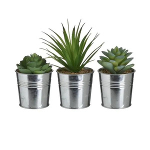 INART umjetni sukulent Sorto 17 cm
