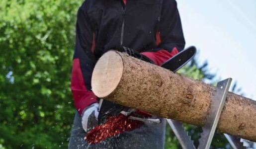 Einhell motorna lančana pila GC-PC 2040/1