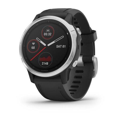 GARMIN Fenix 6S pametni sat / Silver