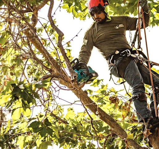 Makita akumulatorska lančana pila DUC306Z - SANMO ALAT