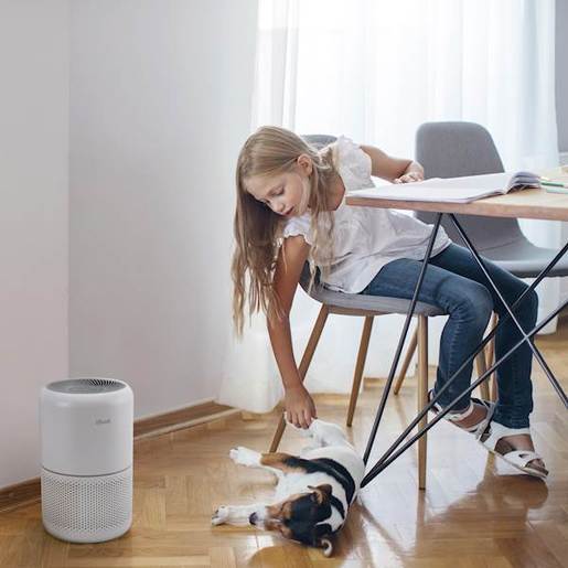 Levoit Core® P350 Pet Care pročišćivač zraka