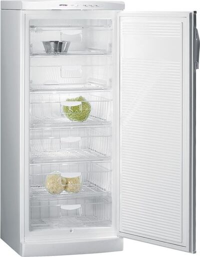 Gorenje zamrzivač F6245W