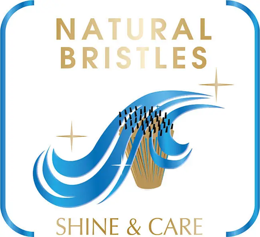 Rowenta rotirajuća četka CF9540F0