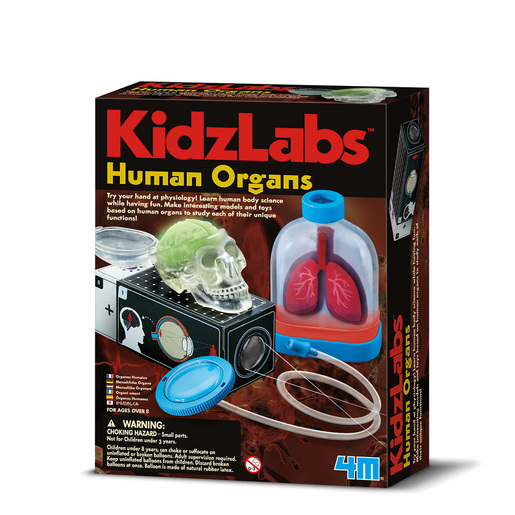 4M UPOZNAJ LJUDSKE ORGANE 00-03374 