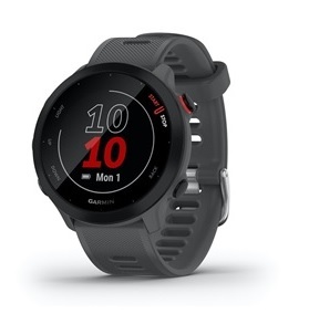 GARMIN Forerunner 55 pametni sat / sivi