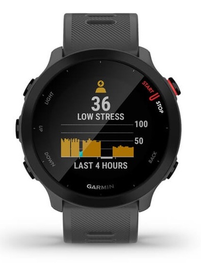 GARMIN Forerunner 55 pametni sat / sivi