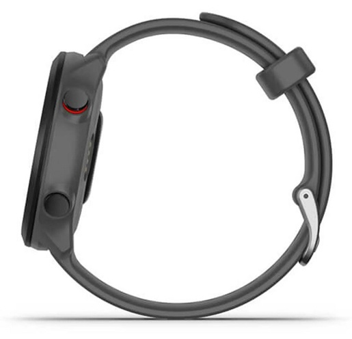 GARMIN Forerunner 55 pametni sat / sivi